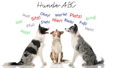 Hundeschule