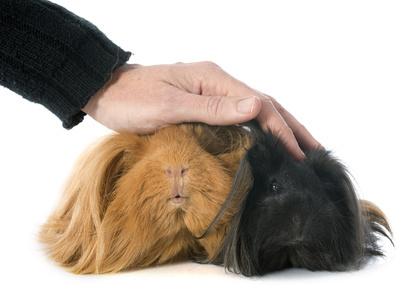 Kennenlernen zappeln lassen
